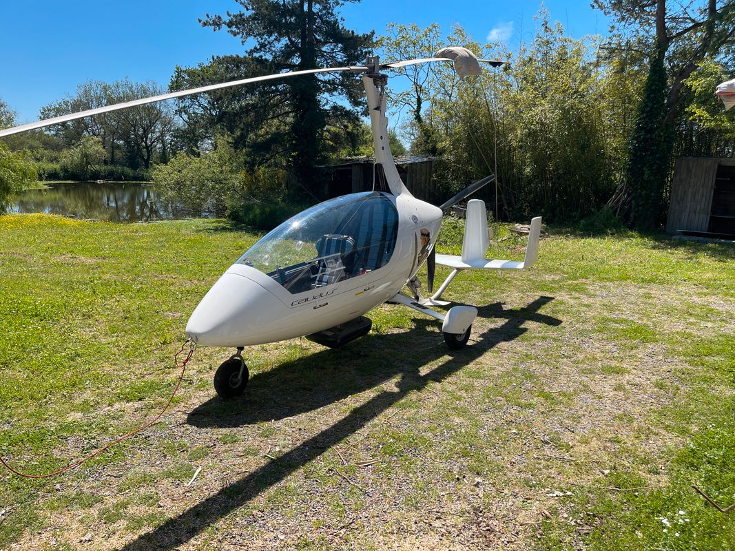 2010 Autogyro Certification Calidus 912s, photo 3